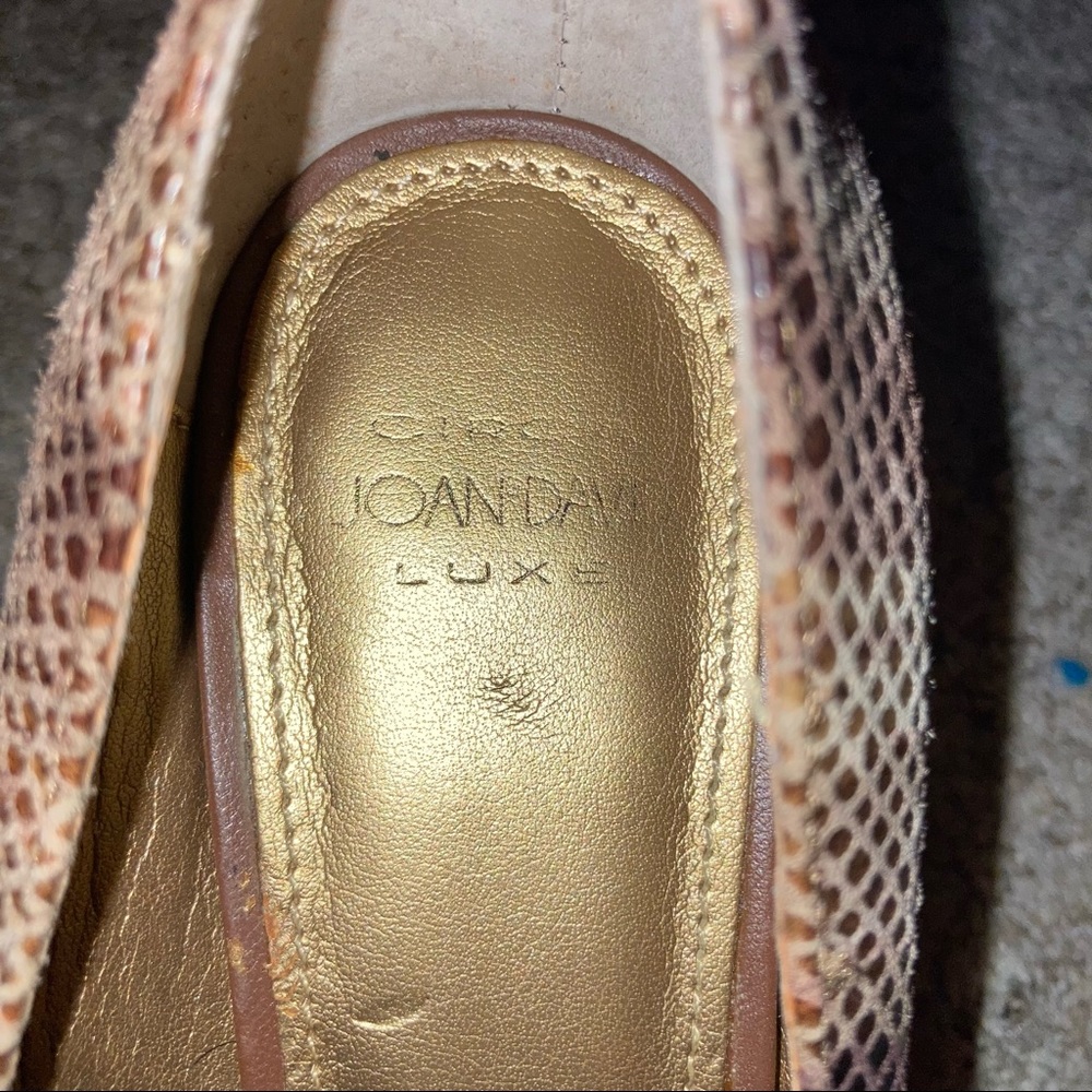 Circa Joan & David Luxe Python Style - image 4